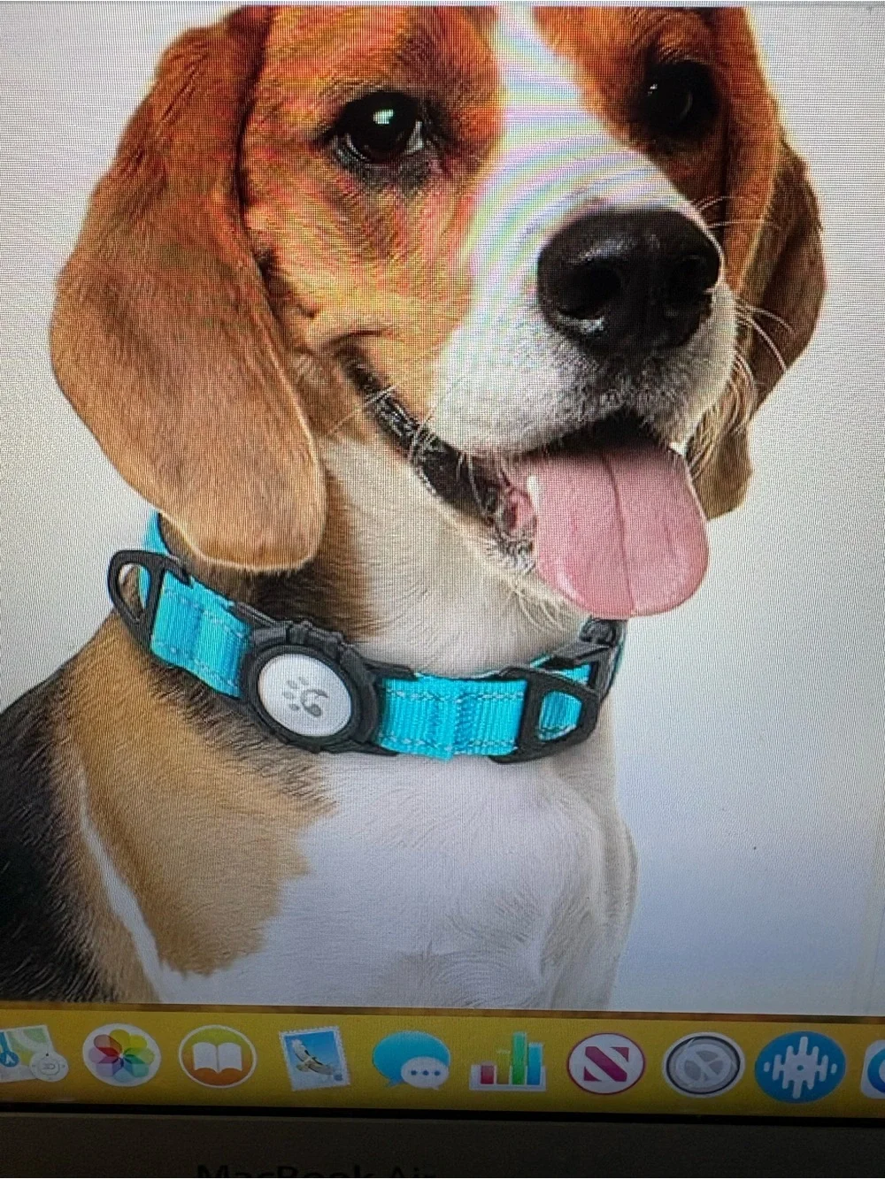 TagME NWT AirTag Holder(Air tag not included) Waterproof, Reflective, Medium Dog